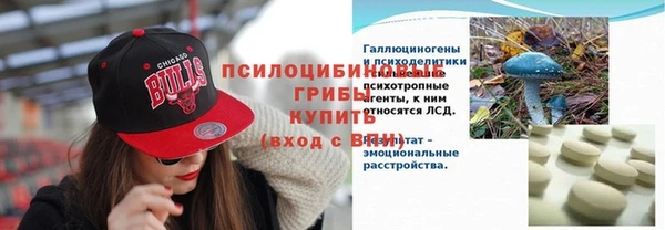 гашик Алексин