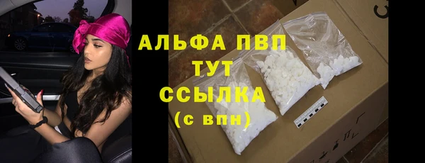 гашик Алексин