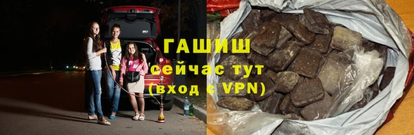 гашик Алексин